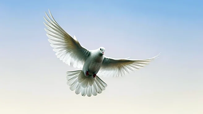 How When Doves Cry Became More Than Just a Hit Song
