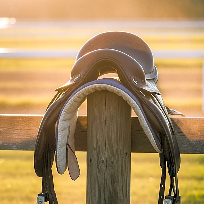 On This Day: Dust shaped the 1880 Kentucky Derby outcome