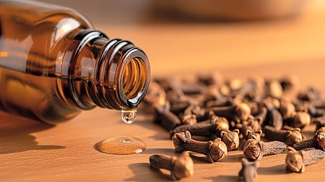 The Versatile Uses of Clove Oil Revealed