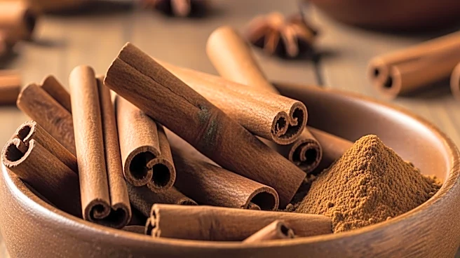 What is the Role of Cinnamon in Culinary Traditions
