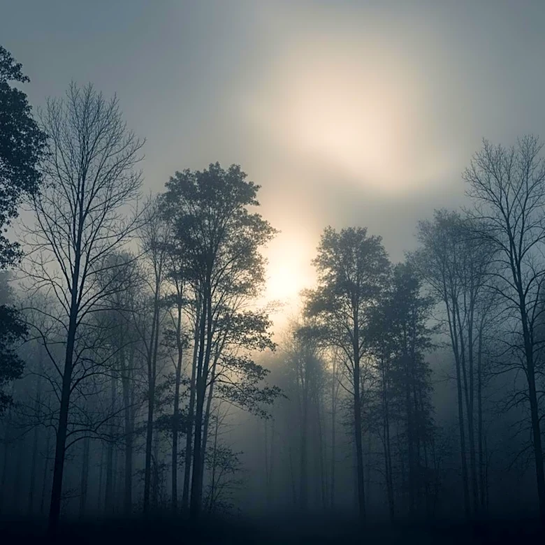 Inside the Mystery That Haunted New England Until Nightfall