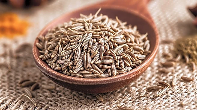 How did Cumin Become a Culinary Staple Across Cultures