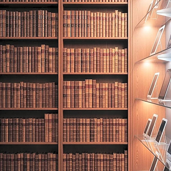How U.S. Libraries Grew From Book Rooms to Community Hubs