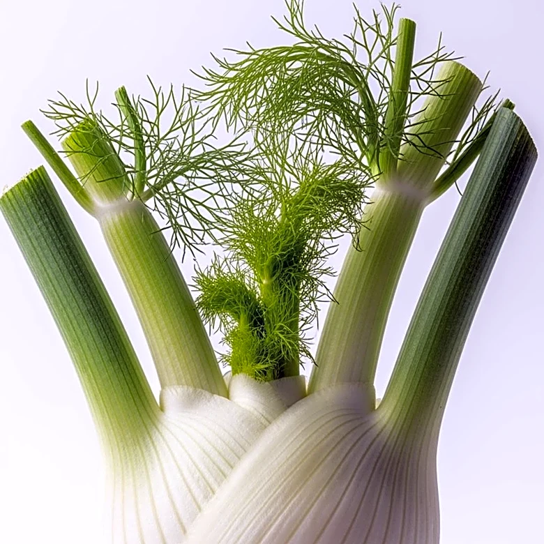 How Fennel Became One of the Mediterranean’s Most Recognizable Herbs