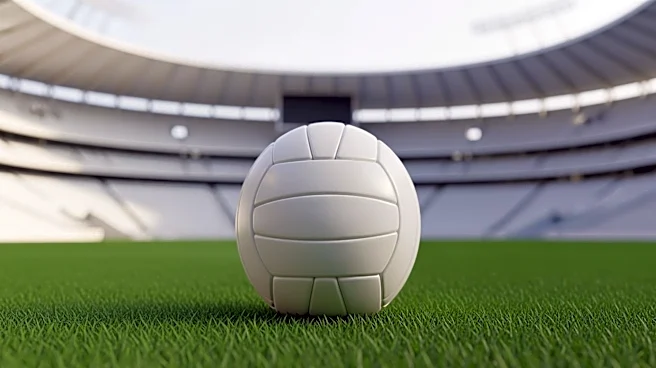 What was Cotton Bowl's Role in the 1994 FIFA World Cup