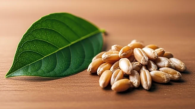 How does Nutrition Impact Hair Health