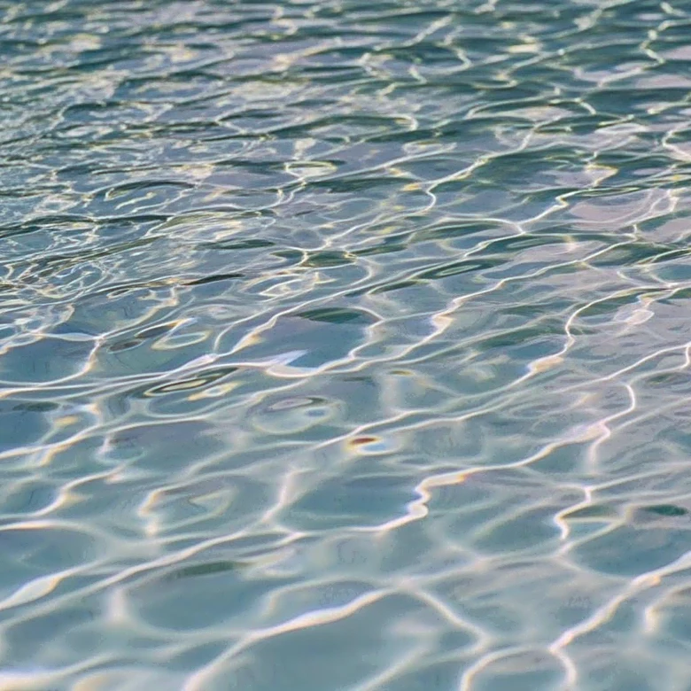 Why Swimming Basics Start with Movement