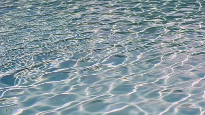 Why Swimming Basics Start with Movement