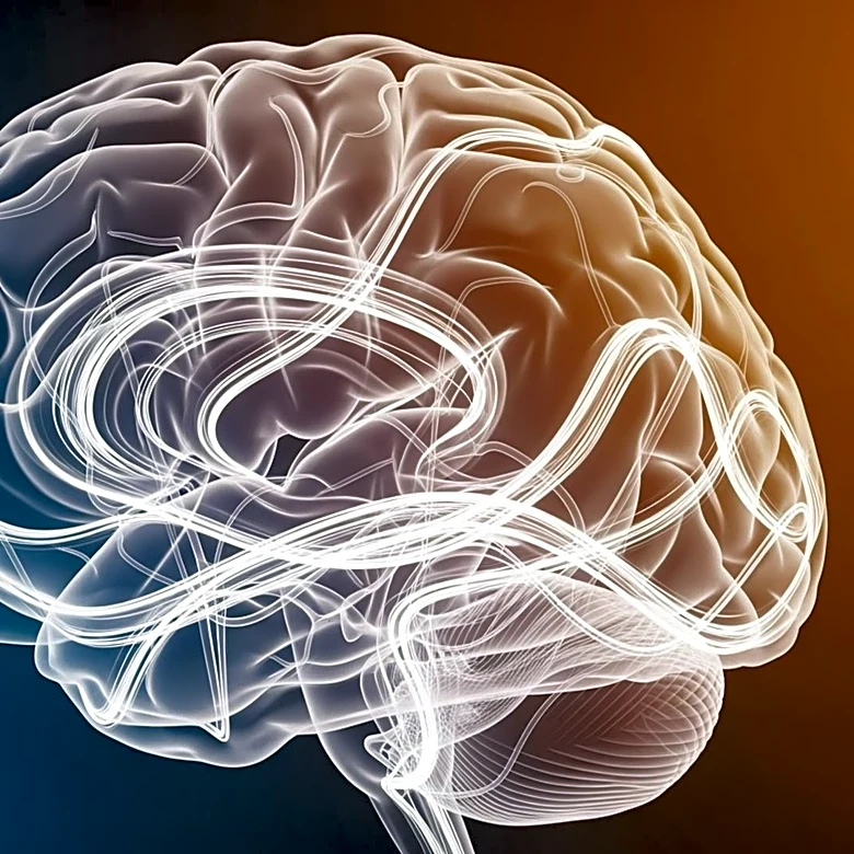The Protective Mechanism That Helps Preserve Brain Function During Exercise