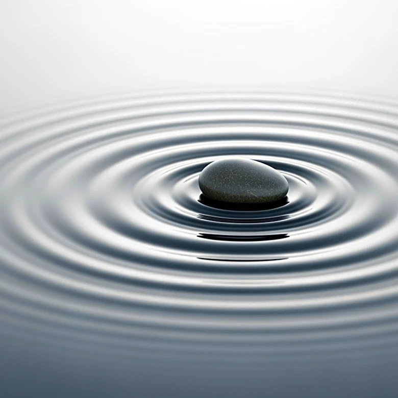 Inside the Forces of Normative and Informational Influence