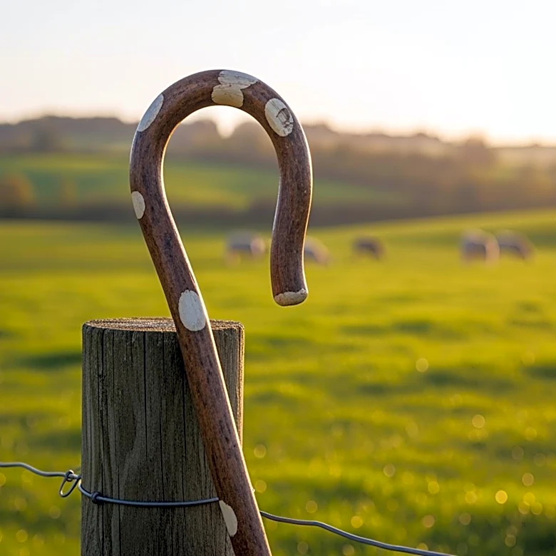 Why Farmers Relied on Dogs to Manage Livestock
