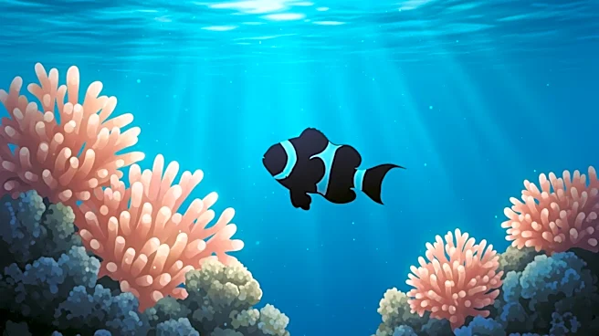 Today Marks the Debut of the Oscar-Winning Finding Nemo