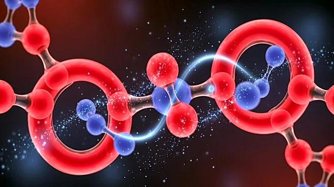 How Oxygen Keeps the Electron Transport Chain Moving
