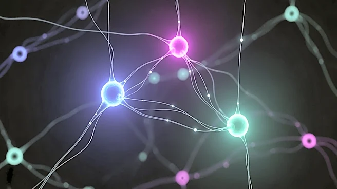 How Brain Network Connections May Help Explain Mental Disorders