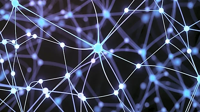 Neuroplasticity Reveals the Brain Is Never Truly Fixed