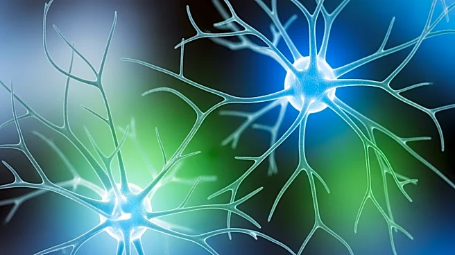 The Brain’s Recovery Tool Therapists Are Learning to Harness