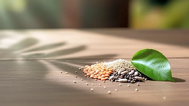 How Dry Kibble Processing Drives Massive Emissions