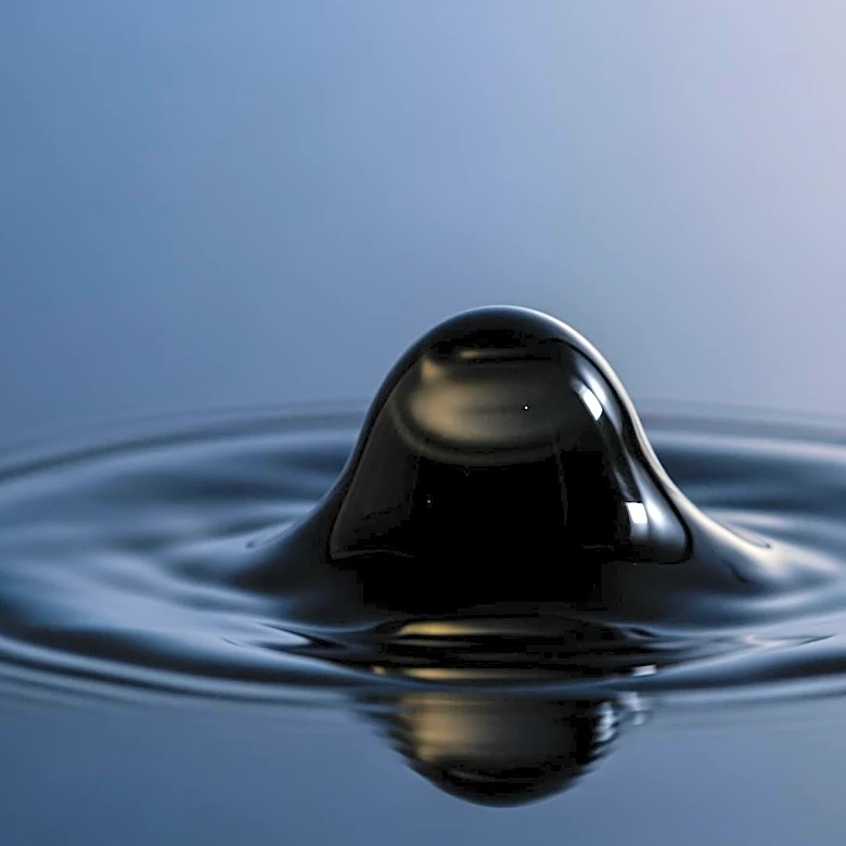 The Economic Consequences That Follow Major Marine Pollution Events