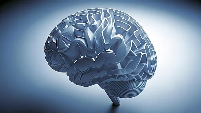 How Limited Mental Resources Influence the Choices We Make