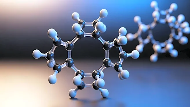Inside the Chemical Process of Carb Metabolism