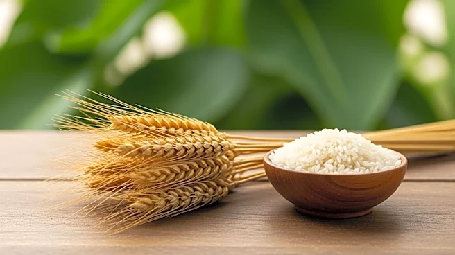 How Carbohydrates Affect Weight Loss More Than You Think