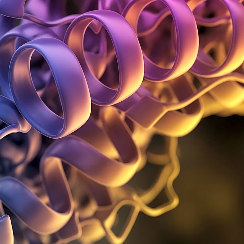 The Intricate Shapes That Allow Proteins to Perform Essential Tasks