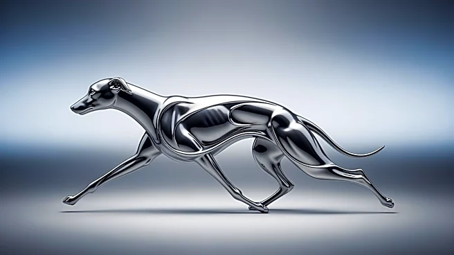 How did the Whippet Become Synonymous with Speed and Elegance