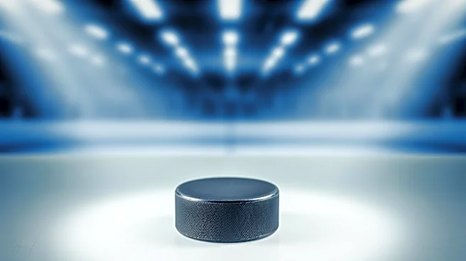 This Day in History: Anaheim’s Cinderella Story Captivated Hockey Fans