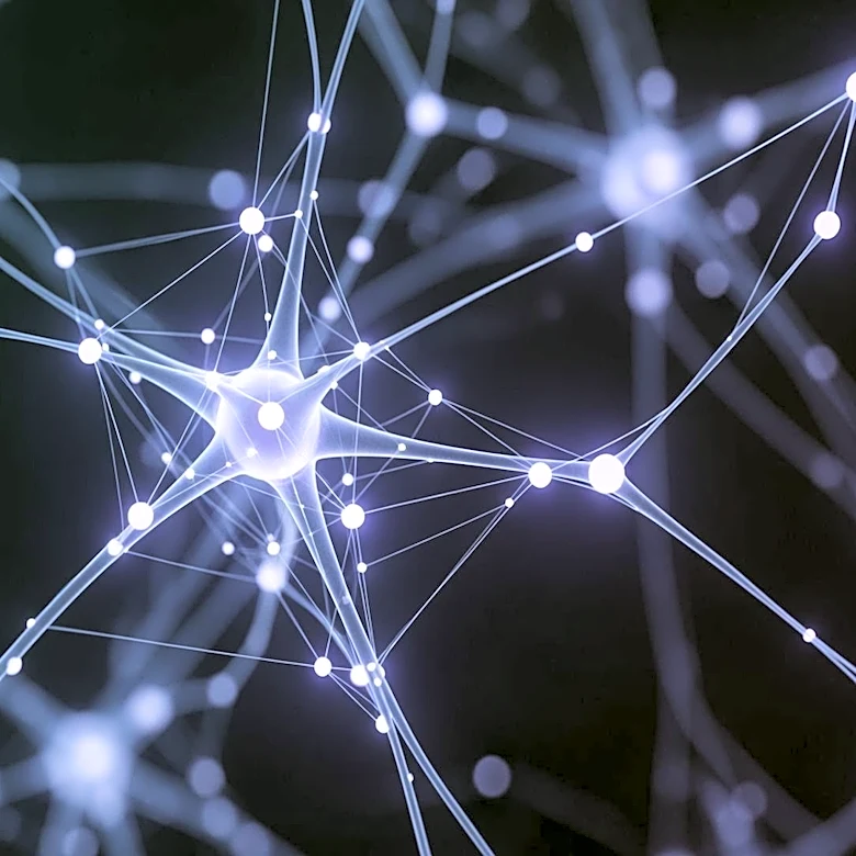 What Brain Regions Help You Sense Hunger, Stress, and Pain?