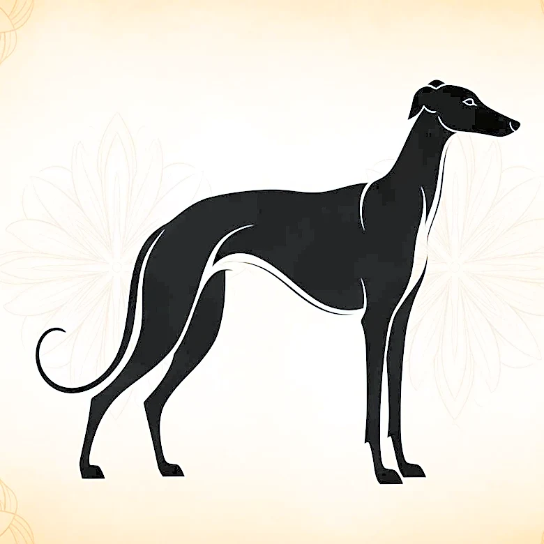The Deep Meaning Behind the Old Russian Word for This Fast Sighthound