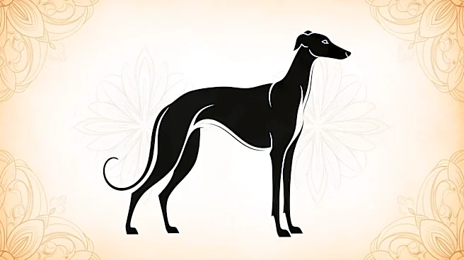 The Deep Meaning Behind the Old Russian Word for This Fast Sighthound