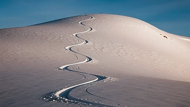 What Makes Vail One of the Most Famous Names in Winter Sports