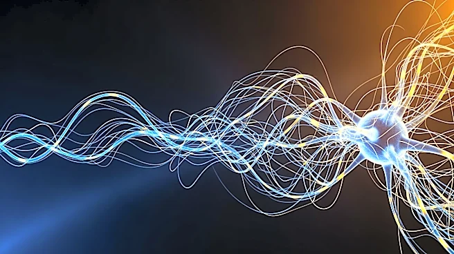 Look at Your Your Brain: How It Reads Hidden Body Signals