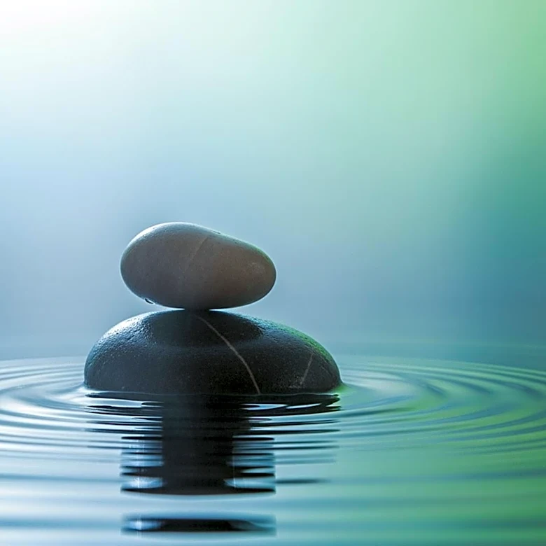 From Tension to Calm: How Muscle Relaxation Evolved