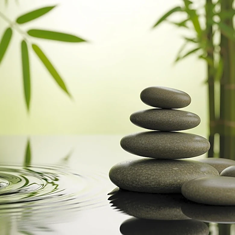 How Mindfulness Based Stress Reduction Actively Rewires Your Mind