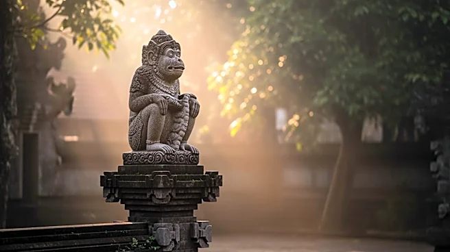 Why Monkeys Hold Sacred Status in Religions Around the World