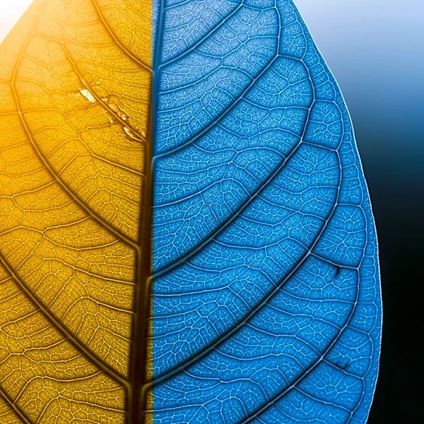 What Is Photoaging and Why Does It Matter for Your Skin?