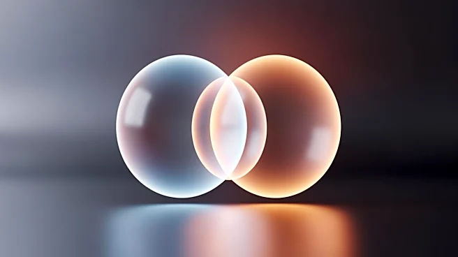 The Domains of Self in Self-Discrepancy Theory Explained