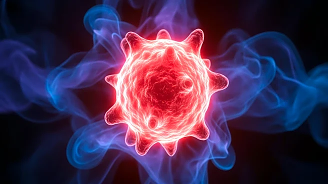 What Excess Body Fat Has to Do With Chronic Inflammation