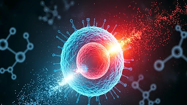 Cellular Oxidative Stress Harms Long-Term Human Health