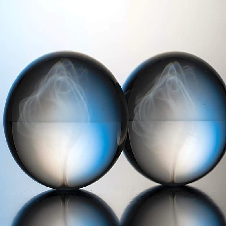 What Is the False Consensus Effect