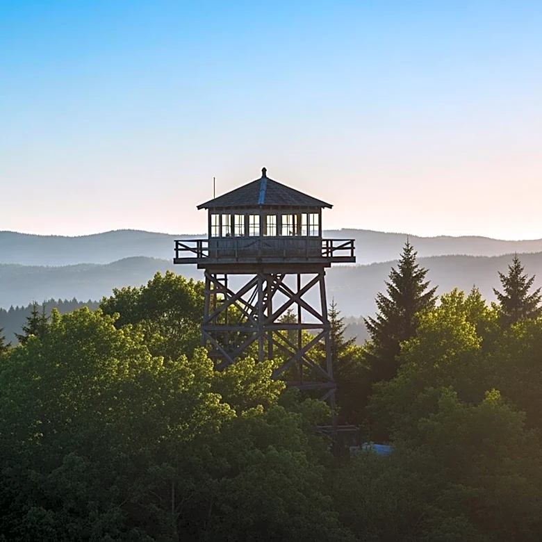 The Forgotten Infrastructure That Shaped Modern Fire Management