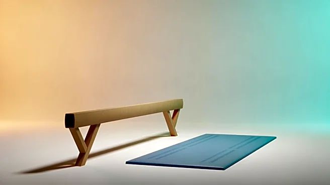 The Role of Handstands in Various Disciplines Explained