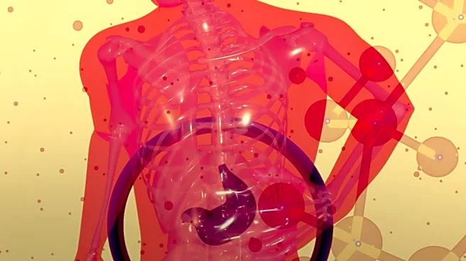  Intense Specific Phobias and How Doctors Identify Them