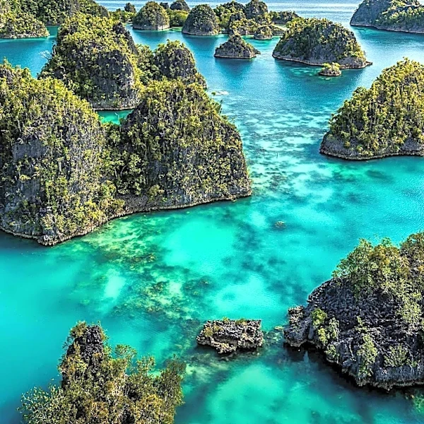 The Islands, Rainforests, and Atolls That Shape Oceania