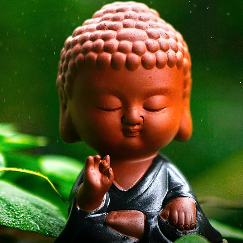 What are the Four Sublime Virtues of Buddhism