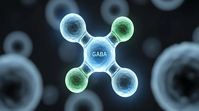 What Role does GABA's Play Beyond the Nervous System