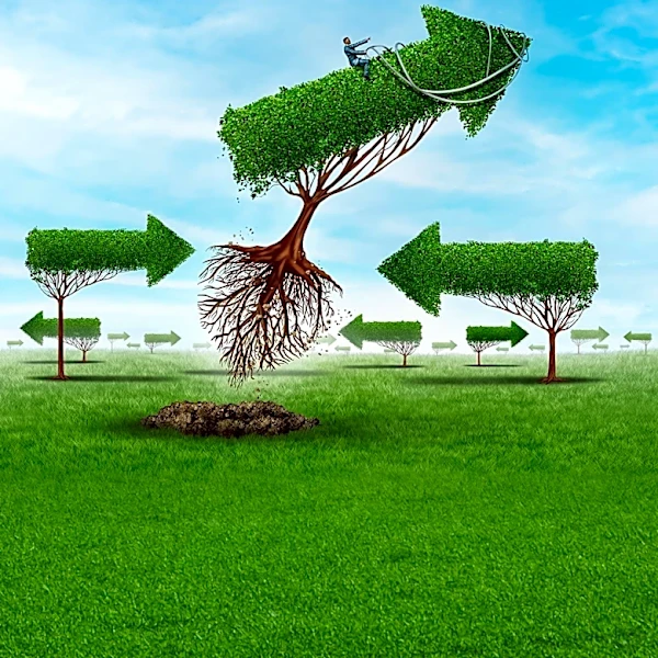 The Evolution of Personal Development Explained