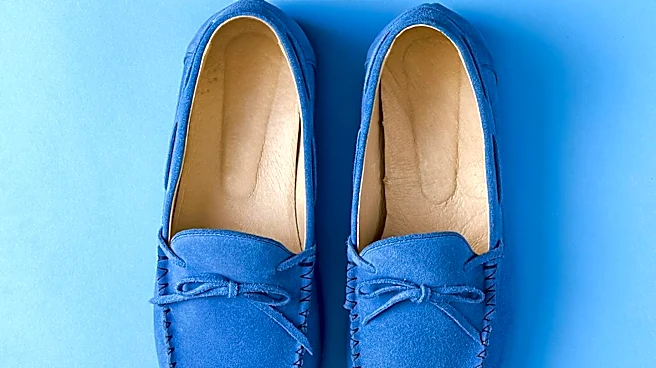 The Evolution of Moccasins Explained