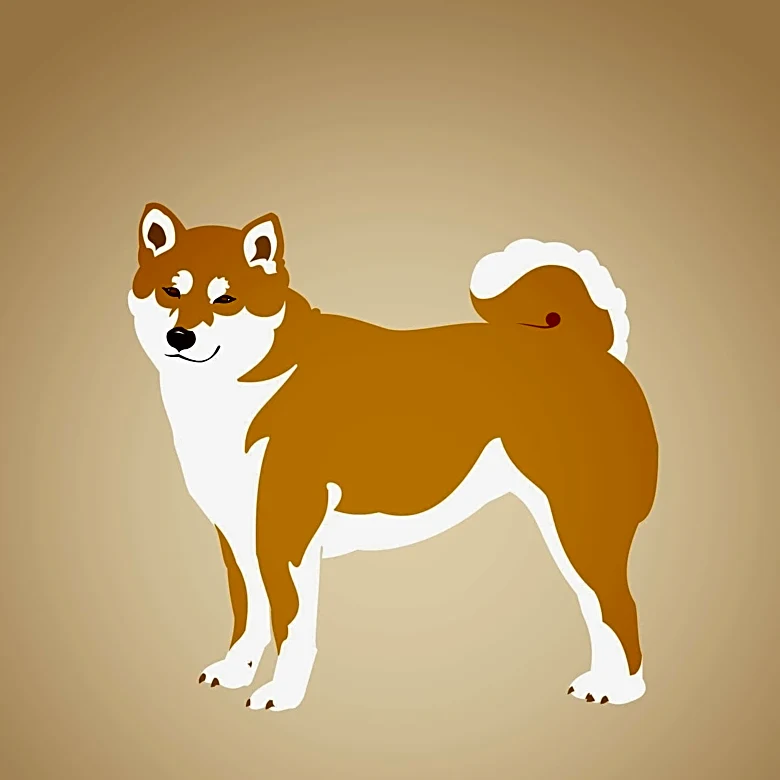 How do the Elements Shape the Year of the Dog